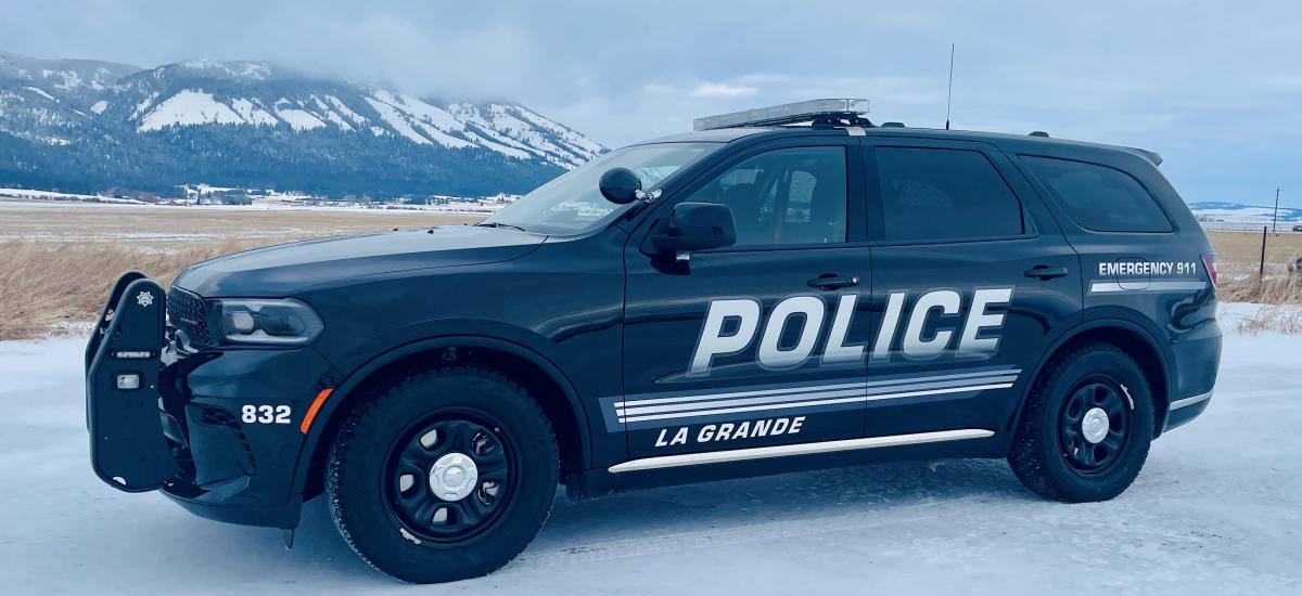 2022 LGPD Patrol Car - Black
