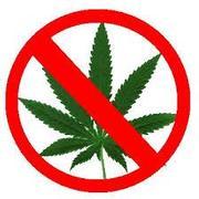 Marijuana Related Businesses - Banned