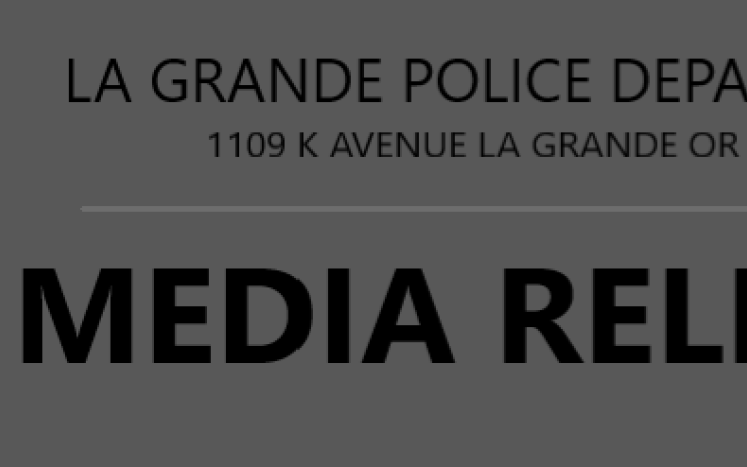 LGPD Media Release Logo