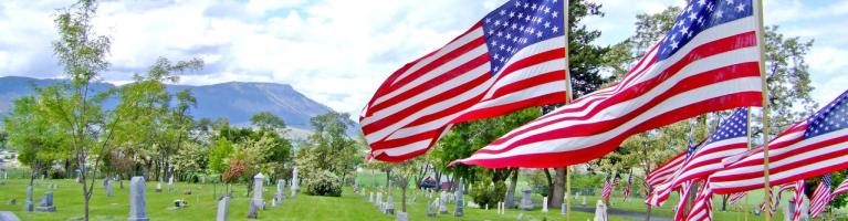 Flags at Cemetery